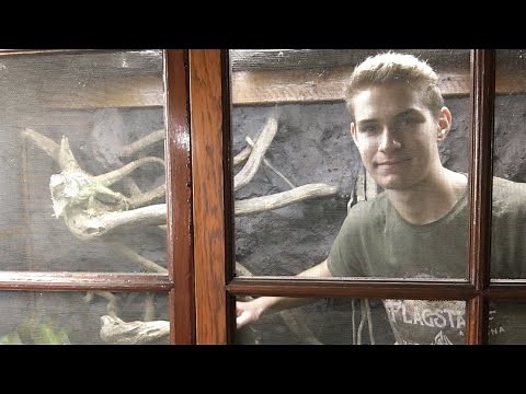 Massive Bioactive Iguana Cage!!! I Can Go Inside!!! | DIY Reptiles