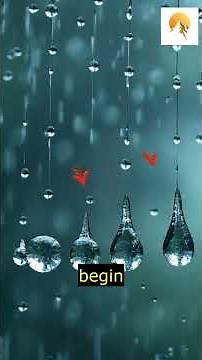 Why Are Raindrops Shaped Like Teardrops? The Science Explained!