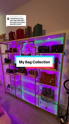 Replying to @Denise thank you for asking to see my collection. Sorry it took so long to respond. #fyp #bagtok #newbag #handbag #handbagcollection
