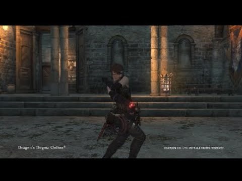 Dragons Dogma Online - All vocations/Classes in action