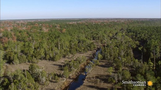 2.1K views · 92 reactions | Here’s a little-known story about Francis...