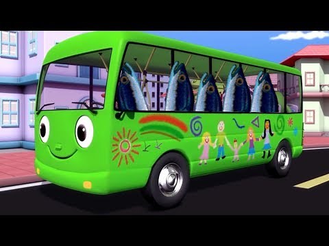 [YTP] the eels on the bus
