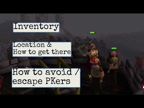 OSRS Rogue Wilderness Slayer Task Safe for Pures