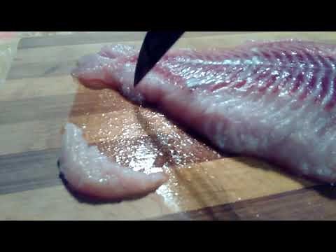 trimming catfish fillets for better taste