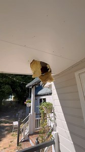 5.4K views · 44 reactions | Call out with Hudson Snake Catching - Gold Coast Snake Catcher ever seen a python fall through a roof? #travellingbushman | Travelling Bushman | Facebook