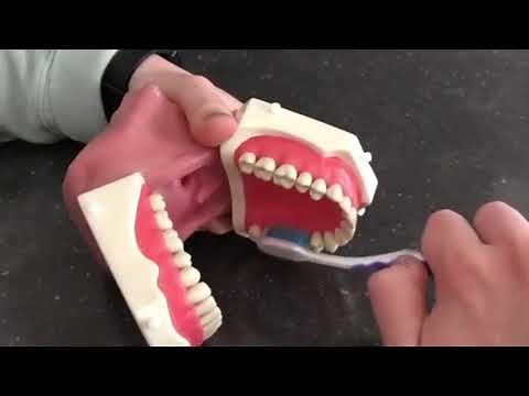 Rolling Stroke Toothbrushing Technique