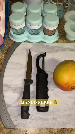 Homemade Mango Puree for Babies | Nutribullet Recipe