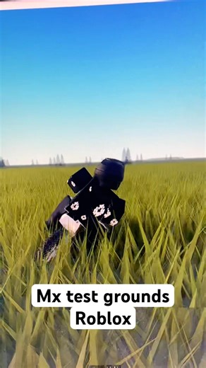Mx test grounds Roblox