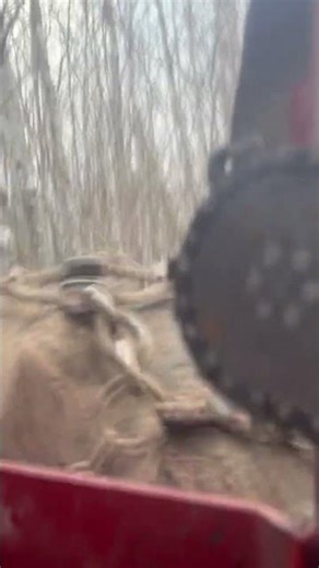 1960’s log skidder #timberjack #skidder #detroitdiesel @Husqvarna-Pit @DeadWoodLogging6996