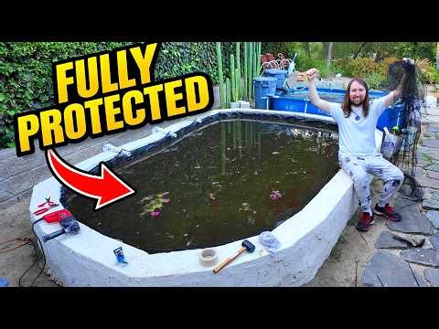 DIY Pond Net Installation | Protecting My Koi Pond from Predators