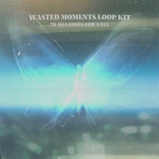 (70 LOOPS) Piano / Guitar Sample Pack / Loop Kit 🎸 (Toosii, Rod Wave, NoCap) - ‘WASTED MOMENTS’