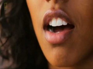 NatGeo. Test your brain. Perception [sounds]