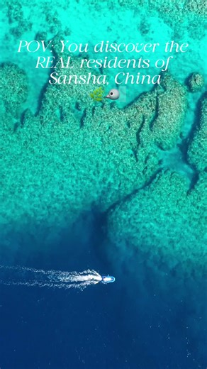 Explore the Unique Residents of Sansha, China