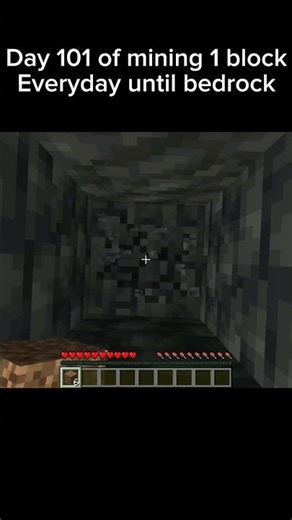Day 101 of mining 1 block everyday until bedrock