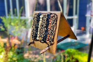 Bird-Friendly DIY Seed Mosaic Bird Feeders