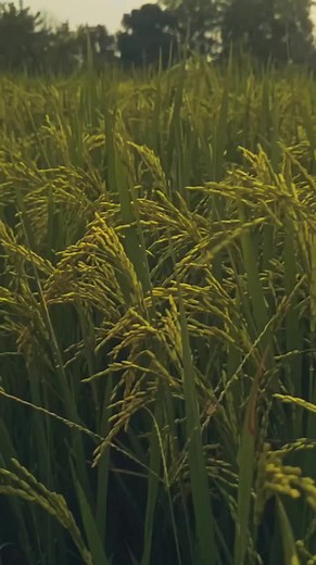 Mawaidha Yenye Manufaa na Sheikh Muhammad Abdi Obo