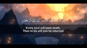 Soothing Recitation ❤ Surah Al-'Ankabut Reciter Sherif Mostafa | Heart beat