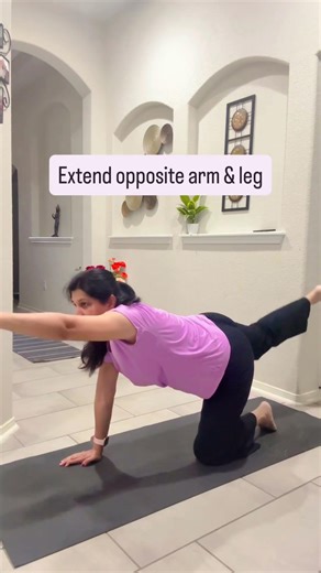 Yoga for Core| Bird Dog Elbow to Knee – Best Core Strength Exercise #yoga #coreactivation#yogashorts