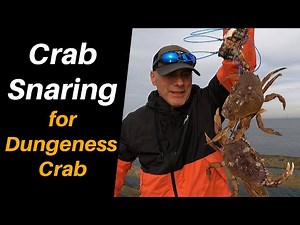 Crab Snaring for Dungeness Crab