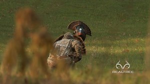 A close up turkey hunt! Vid creds: (Realtree / YT) | Get Outta Here
