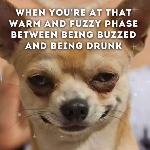 Some fun drinking memes, made into a video and animated! | I'll Drink To That