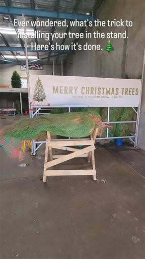 There's a knack to installing your tree in the stand. The easiest way is to start with the tree lying down. Make sure the spikes in the base are lined up with the stump. Tighten the arms, but not too much, just enough to hold onto the truck when you stand it up. Then, as you put the base on the ground, you can see if the tree is straight, give it a twist if needed and it will straighten itself. Then lift the tree and drop it down so the stump pierces the spikes. Tighten the arms up to hold firml