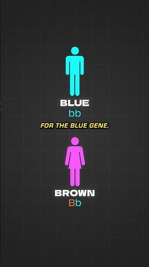 What Color Will My Kid's Eyes Be?