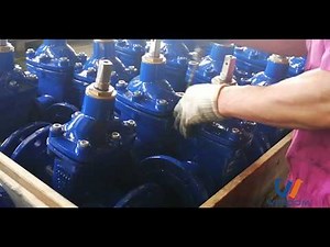 Gate Valve assembly process