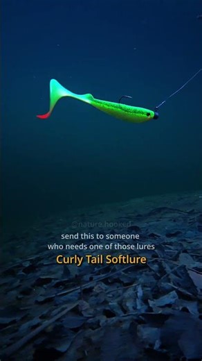 Pick Your Top Pike Lure 🎣 | #naturehooked