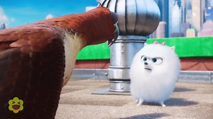 Gidget finds help from a caged predator | The Secret Life of Pets