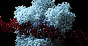 NOVA | How CRISPR Works in Nature | Season 47 | Episode 11