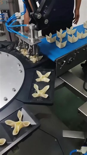 Cheese Wonton Machine Review