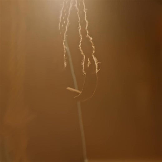 Master Poet. Fearless Warrior. Anointed King. Experience DAVID on stage in Branson, MO! | Sight & Sound Theatres