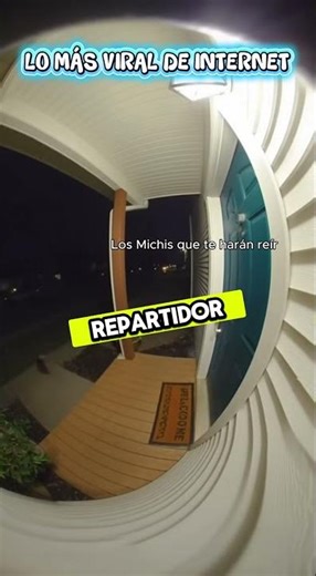 Mapache Roba Comida de un Delivery 🦝🍔🤣 | El Ladrón Más Travieso de la Noche