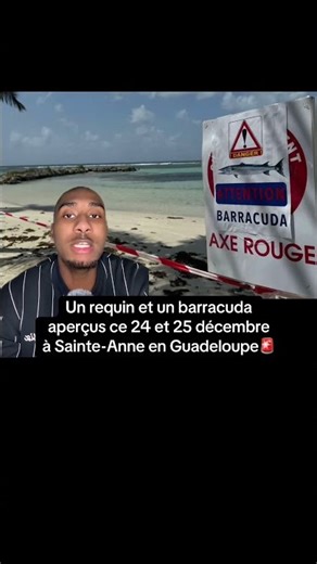 A shark and a barracuda were spotted on December 24th and 25th in Sainte-Anne, Guadeloupe #guadel...