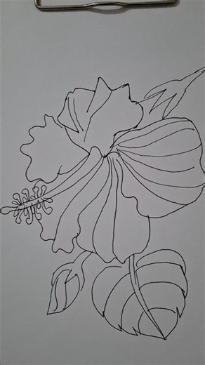 Beautiful Flower Pen Sketch || Simple Line Art Drawing