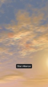 Technology 🤝 smooth travel We are implementing the Timatic Autocheck across our network with International Air Transport Association (IATA)! Here’s how it's going to make check-in a breeze. | Star Alliance