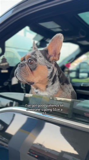 Stock.6.7 (@stock.6.7)’s videos with Strip It Down (Originally performed by Luke Bryan) (Instrumental Version) - StudiOke