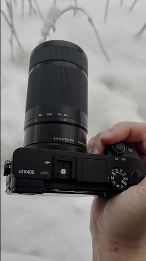 Backyard Birding in the Snow | Wildlife on the Sony a6400 + 55–210