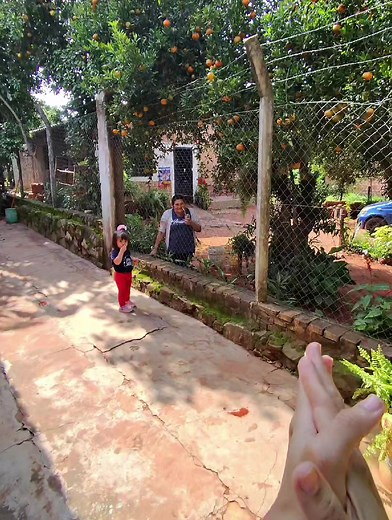 Abro debate 🍊😂 La mandarina es de ella porque el árbol está en su patio… pero las que caen de este lado automáticamente pagan alquiler y pasan a ser nuestras ?? o sigue siendo suya