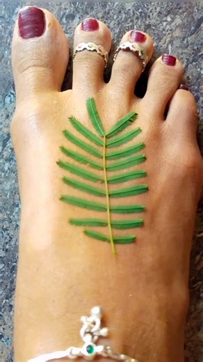 beautiful mehndi design mehndi trick Mehandi lover leaf mehndi design, viral leaf mehndi