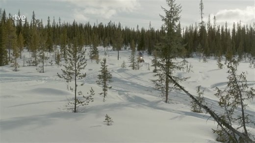 Видео 2017-Flechazo a primera vista | OK.RU