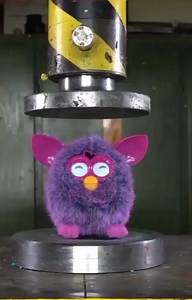 Instagram video by Mussum Forévis • Apr 23, 2020 at 9:05 AM