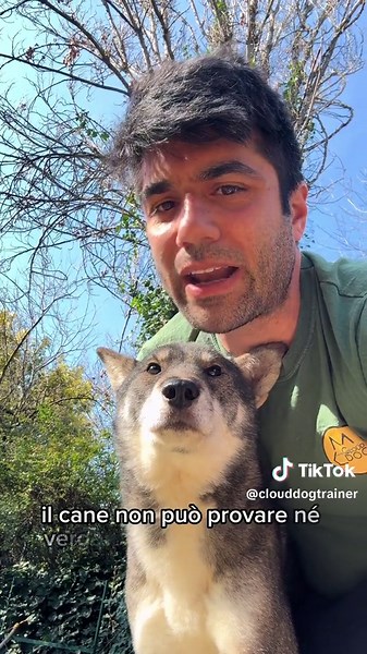 Quante volte ti è capitato di tornare a casa e vedere che il tuo cane, in tua assenza, aveva combinato un disastro? Sicuramente ti sarà capitato di sgridarlo: è umano! Se ripetiamo spesso questo comportamento, a volte può capitare che il nostro cane sembri