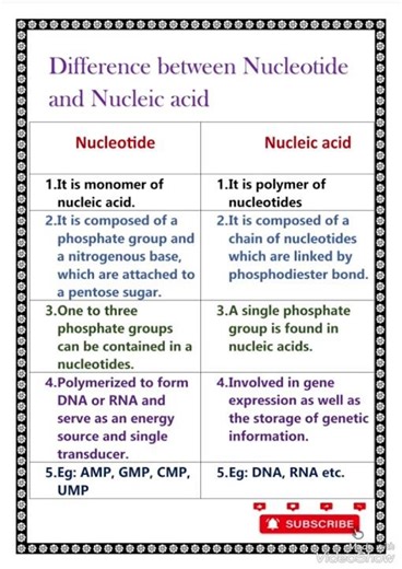 Difference between Nucleotide and Nucleic acid