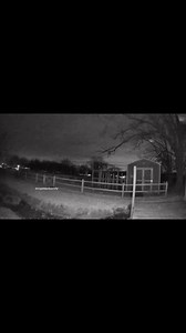 UFO/UAP’S Recorded on a #ringcamera in #Texas. #UFO | Cryptid University