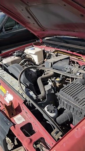 You Don't See These To Often!