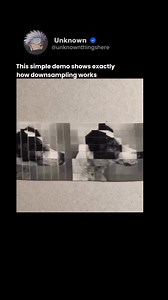 12K views · 68 reactions | Downsampling is the process of reducing...