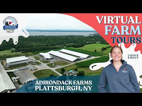 Adirondack Farms Virtual Farm Tour