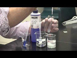 Protein Indicator